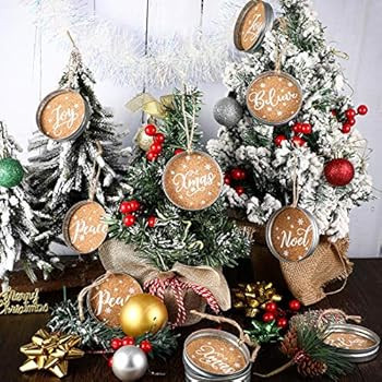 Ferraycle 10 Pieces Christmas Mason Jar Lid Tree Decorations Farmhouse Christmas Ornament Galvani... | Amazon (US)