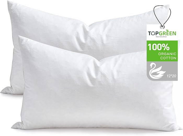 TOPGREEN Feathers Down Throw Pillow Inserts 12x20, Set of 2, 100% Organic Cotton Shell, Soft Deco... | Amazon (US)