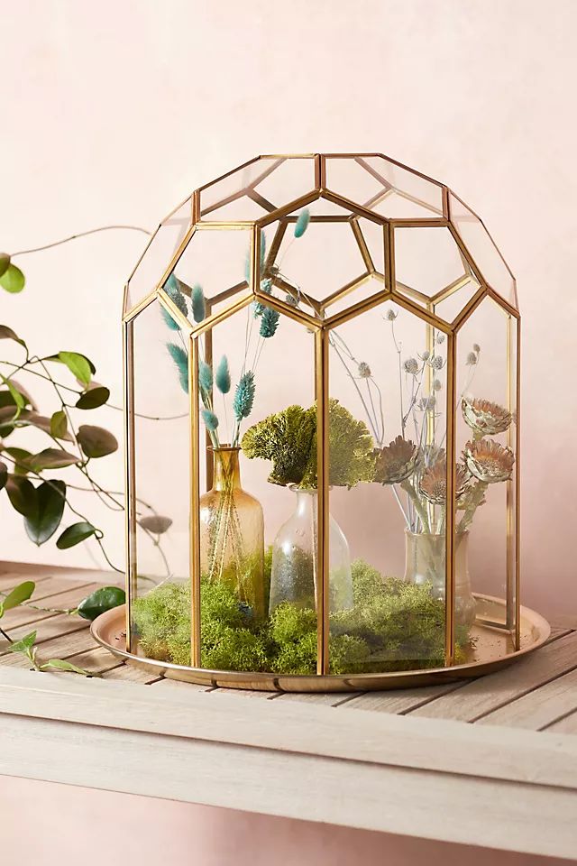 Faceted Glass Cloche with Base | Anthropologie (US)