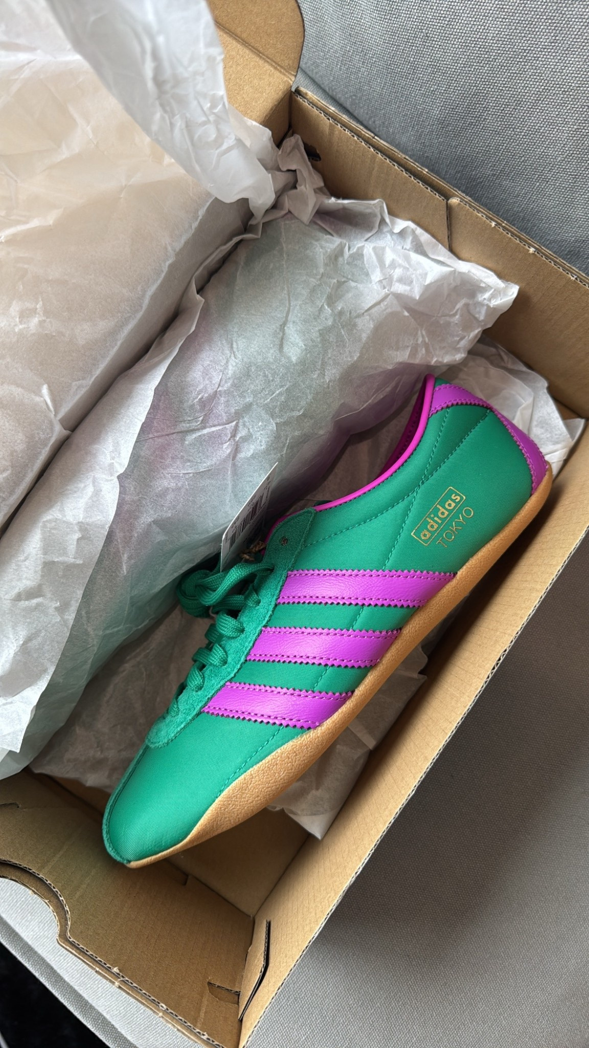 New kicks I snagged over the weekend! 

#LTKActive #LTKMidsize #LTKFindsUnder100