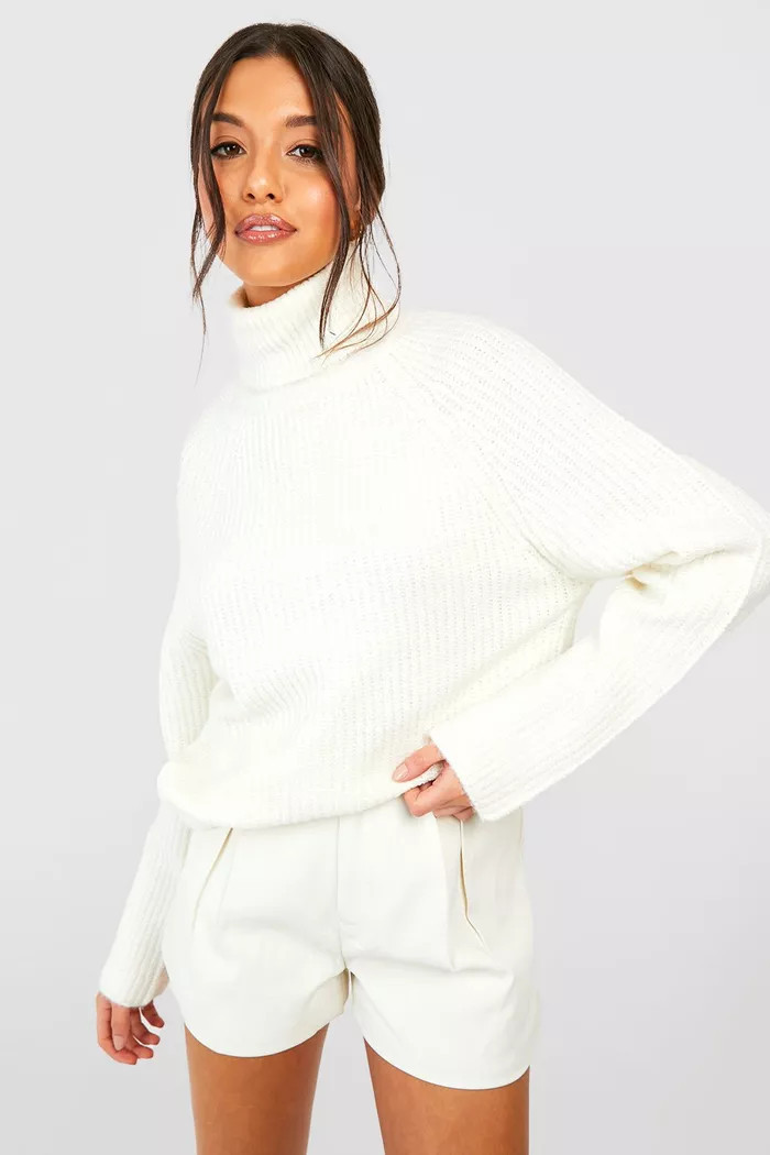 Knitted Roll Neck Jumper With Raglan Sleeve | Boohoo.com (UK & IE)