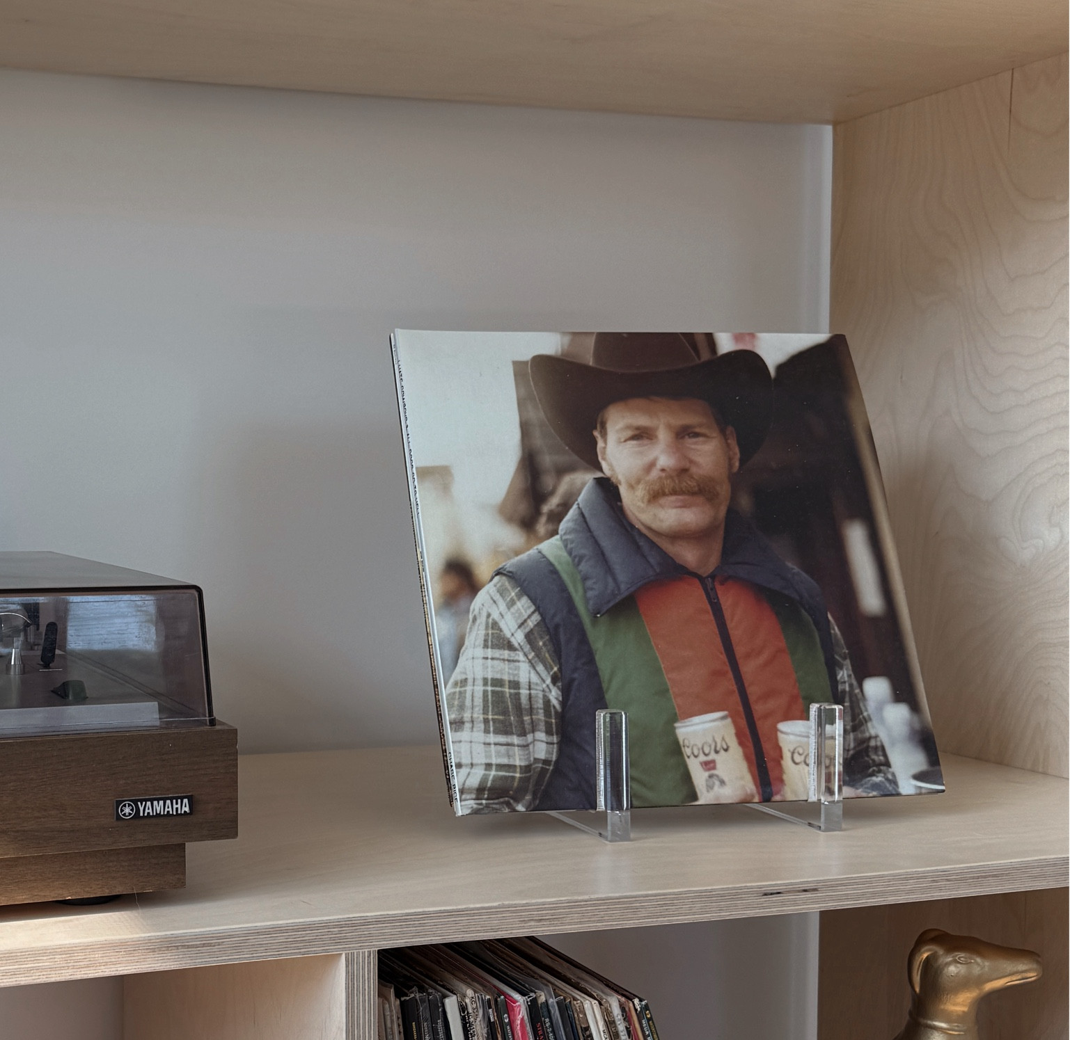 Acrylic stand for vinyl records. Amazon find and under $25. Holds 8-10 records  

#LTKFamily #LTKFindsUnder50 #LTKHome