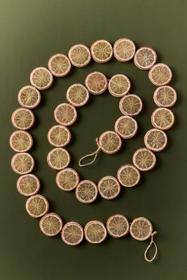 Sugared Orange Slice Garland | Anthropologie (US)