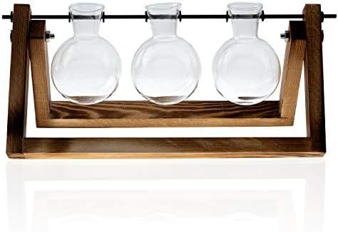 Mozing Desktop Clear Glass Planter Bulb Vases with Vintage Style Wood & Metal Swivel Stand Decora... | Amazon (US)