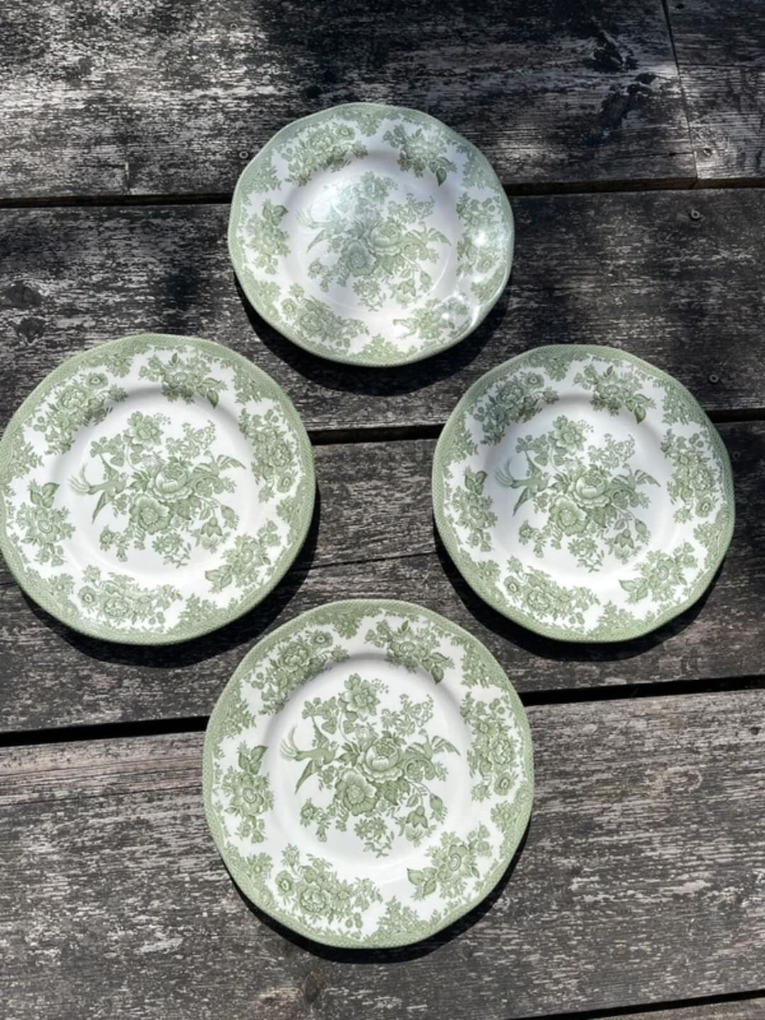 Vintage Green Transferware Plates Asiatic Pheasant Print Plate Wall Collection - Etsy | Etsy (Global)