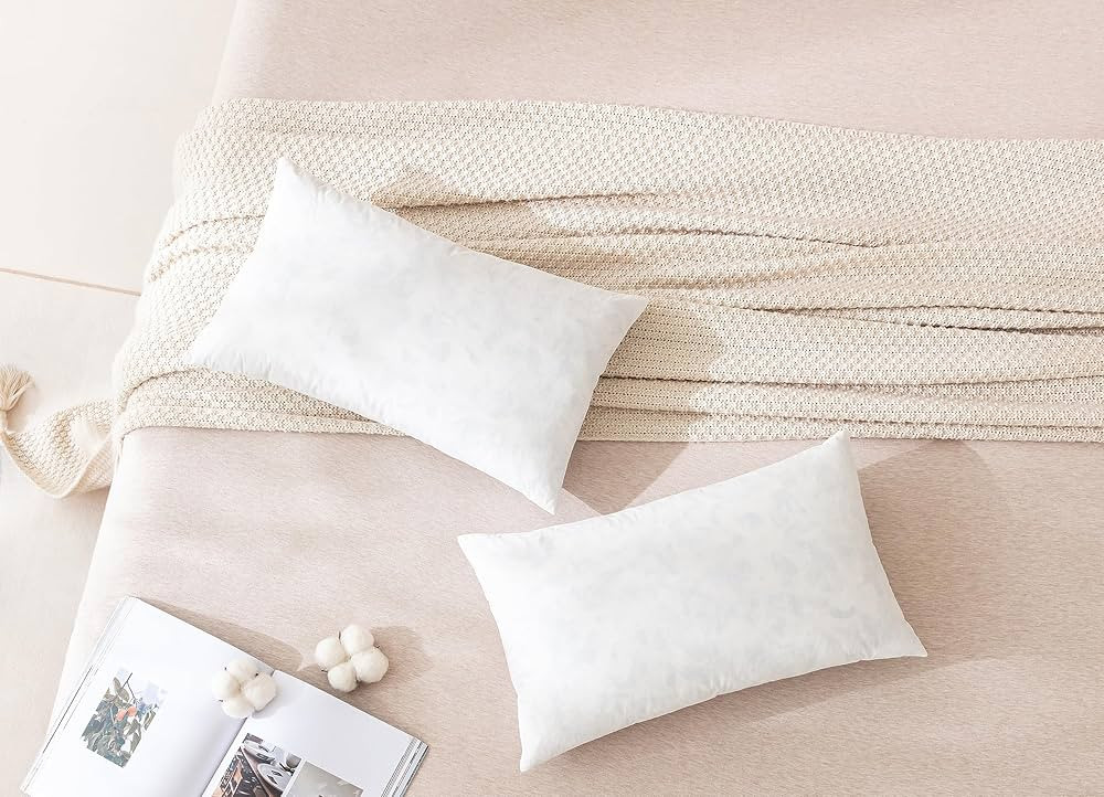 Dorrin Nessin 12x20 Inches Feather Throw Pillows Insert (White, Pack of 2), Bed and Couch Decorat... | Amazon (US)