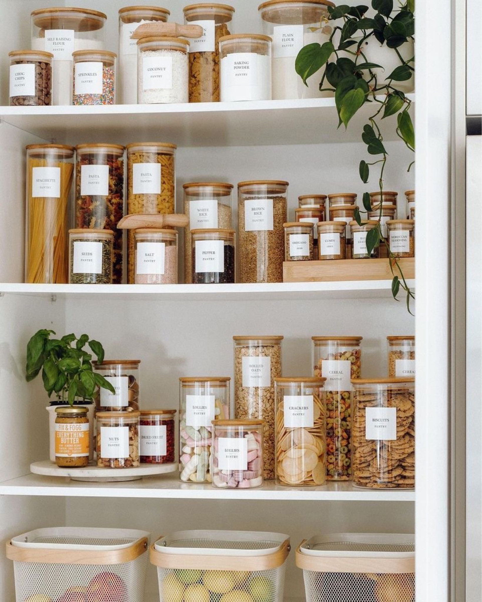 The ultimate pantry organization! 🤩 pantry organizers, pantry jars with lids, glass jars with labels. 

#pantryjars #pantryorganizationideas #glassjars #pantryideas #pantryorganizing

#LTKfindsunder50 #LTKsalealert #LTKhome
