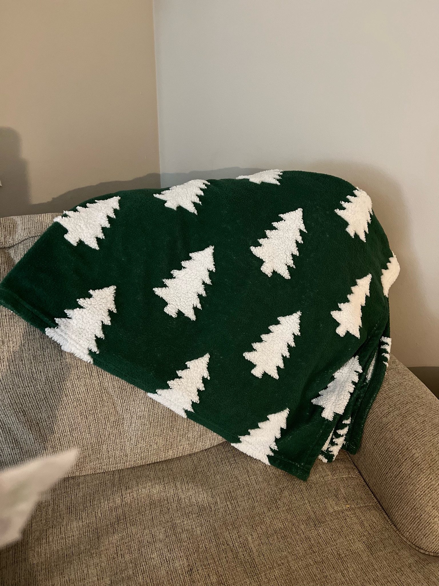 $10 Christmas blanket from WalMart! It’s so soft and festive! They have several designs plus it might be available for your Walmart pick up order depending on the store🎄

#LTKhome #LTKSeasonal #LTKHoliday