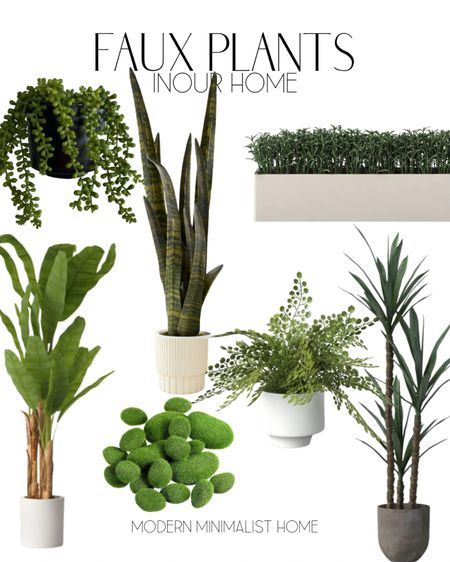 Faux plants in our home!

Plants, faux plants, artificial plants, house plants, outdoor plants, fake plants, indoor plants, patio plants, porch plants, artificial tree, faux tree, indoor tree, Home, home decor, home decor on a budget, home decor living room, modern home, modern home decor, modern organic, Amazon, wayfair, wayfair sale, target, target home, target finds, affordable home decor, cheap home decor, sales, 

#LTKFind #LTKstyletip #LTKhome