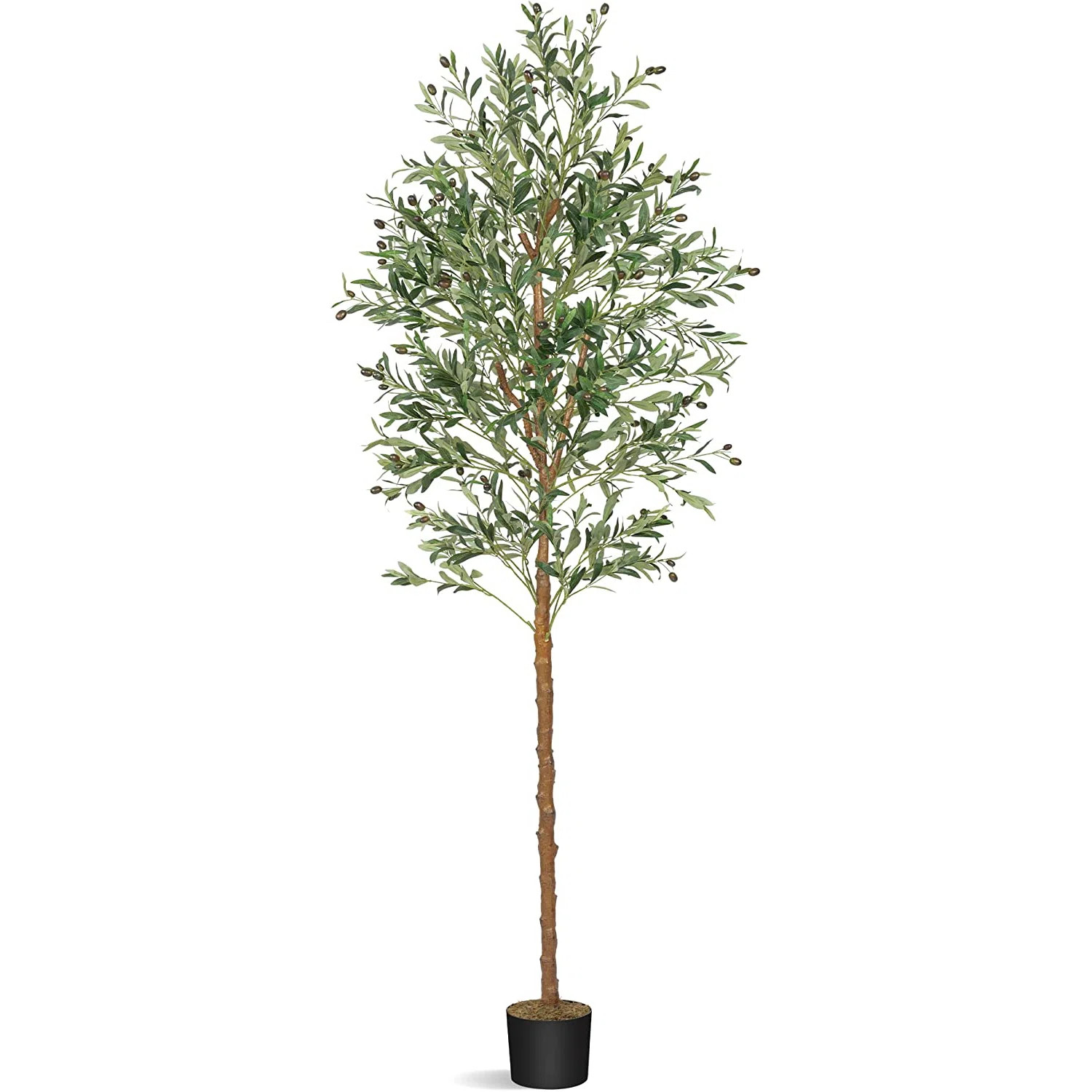 Primrue 83" Artificial Olive Tree in Pot & Reviews | Wayfair | Wayfair North America