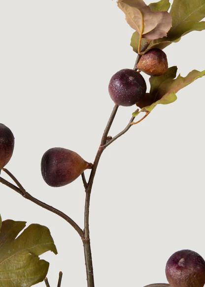 Dried Look Faux Fig Branch | Shop Botanicals at Afloral | Afloral