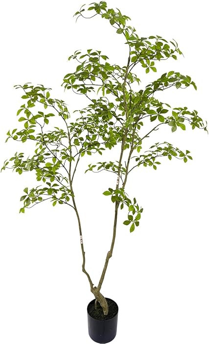 Artificial Gardenia Tree,6ft（1pack） Tall Fake Plants Artificial Mahonia fortunei Plants for I... | Amazon (US)