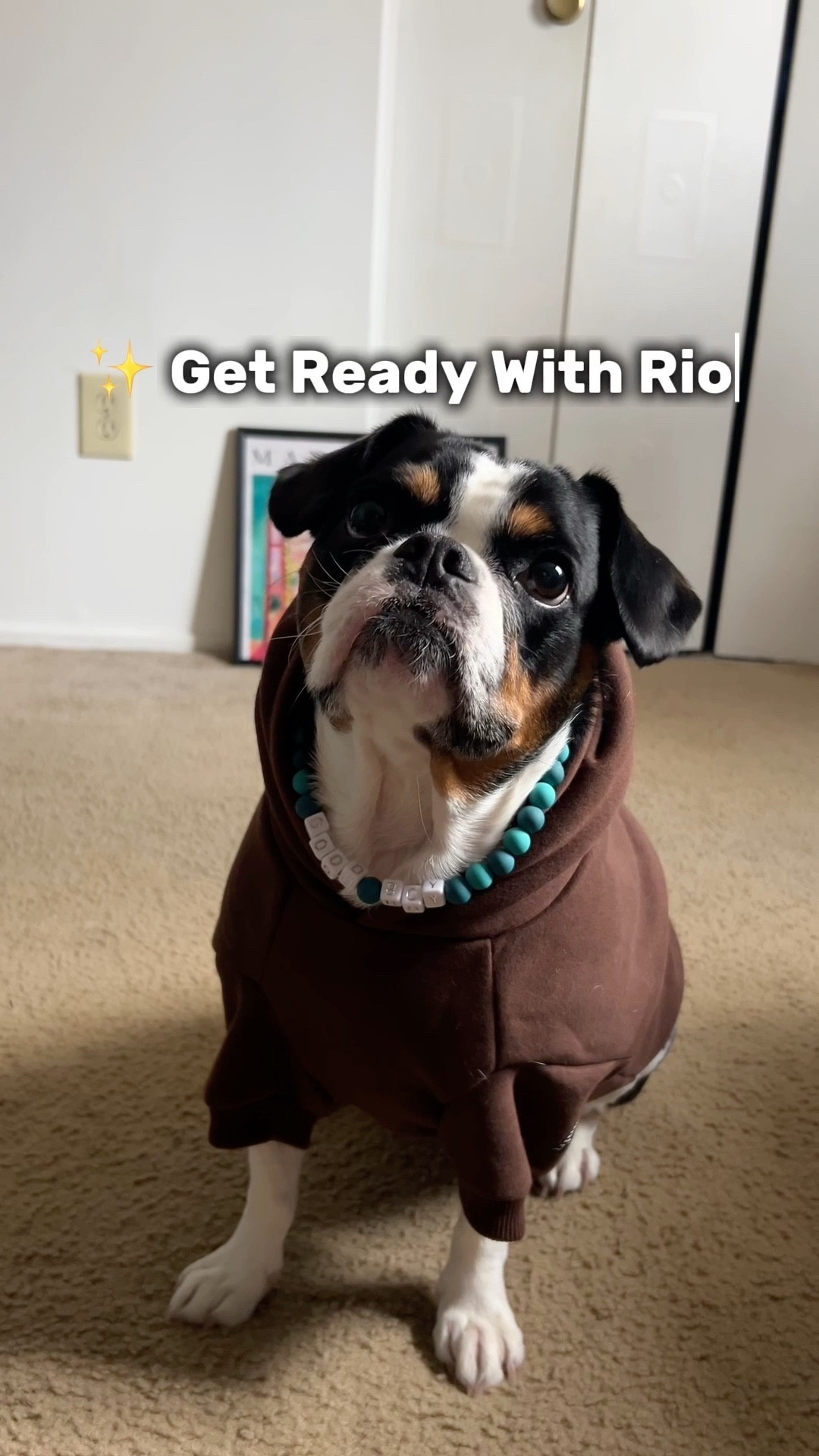 GRWM: Dog Edition 🐶✨

Rio is rocking his comfy Comfrt hoodie in chocolate brown, and I have to keep sharing it because he LOVES it 🥹💛

It’s thick, cozy, slightly weighted, and super warm — basically a hug he can wear. High quality and perfect for snuggles!

There are so many colors to choose from… maybe the perfect Christmas gift for your pup 🎄😉 

#LTKFindsUnder50 #LTKgrwm #LTKGiftGuide