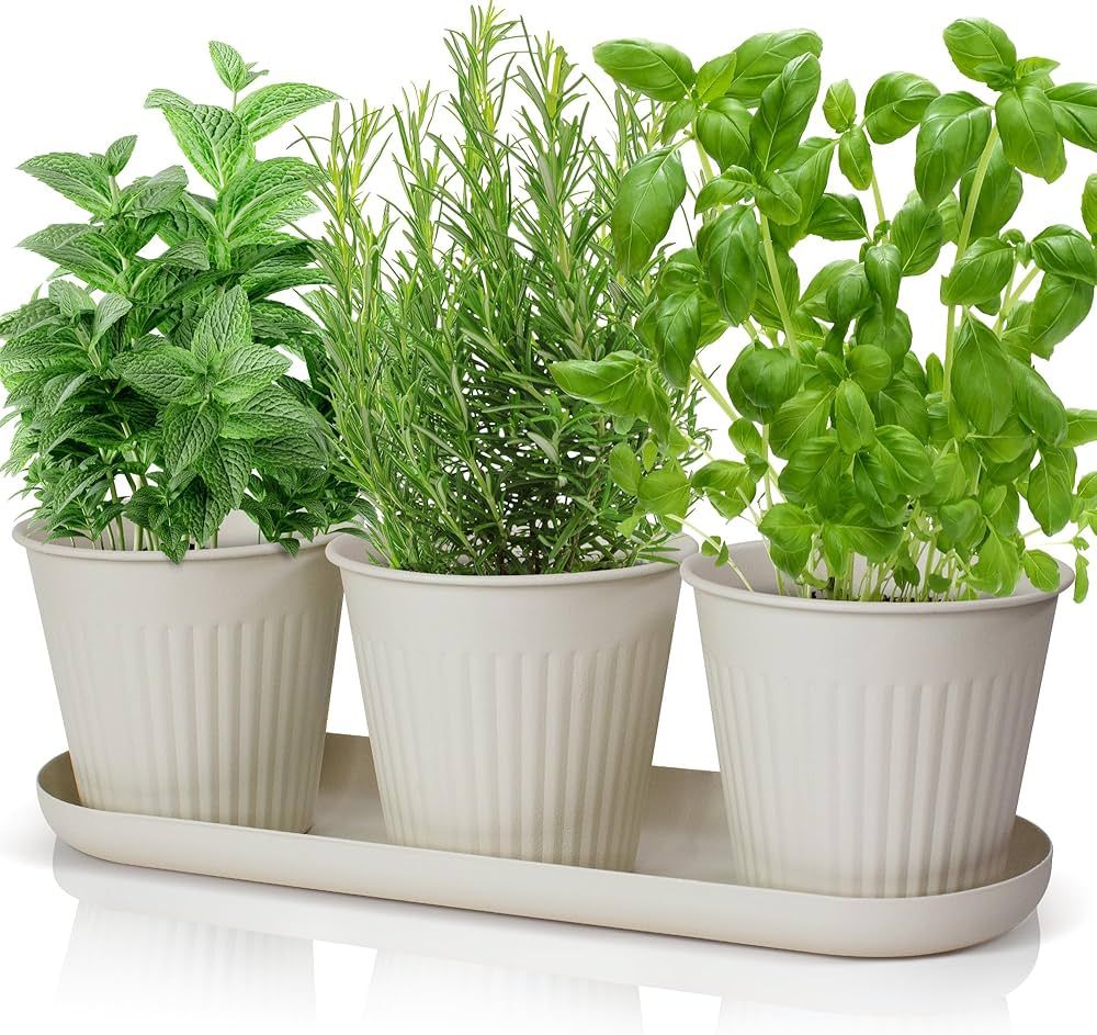 Beautiful Herb Garden Planter Indoor Set of 3 - Perfect for Any Kitchen Window Sill or Countertop... | Amazon (US)