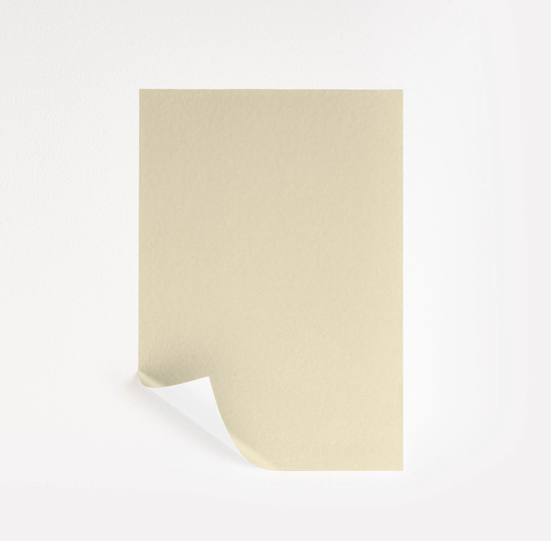 Sweet Cream Paint Sample by Benjamin Moore (CSP-935) | Peel & Stick Paint Sample | Samplize