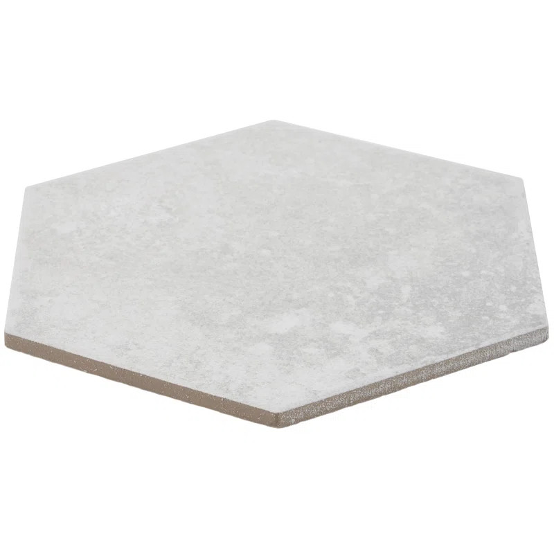 Hayes 8" Hexagon Matte Porcelain Terracotta Look Floor & Wall Tile | Wayfair North America