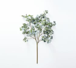 Faux Oversized Silver Dollar Eucalyptus Branch | Pottery Barn (US)