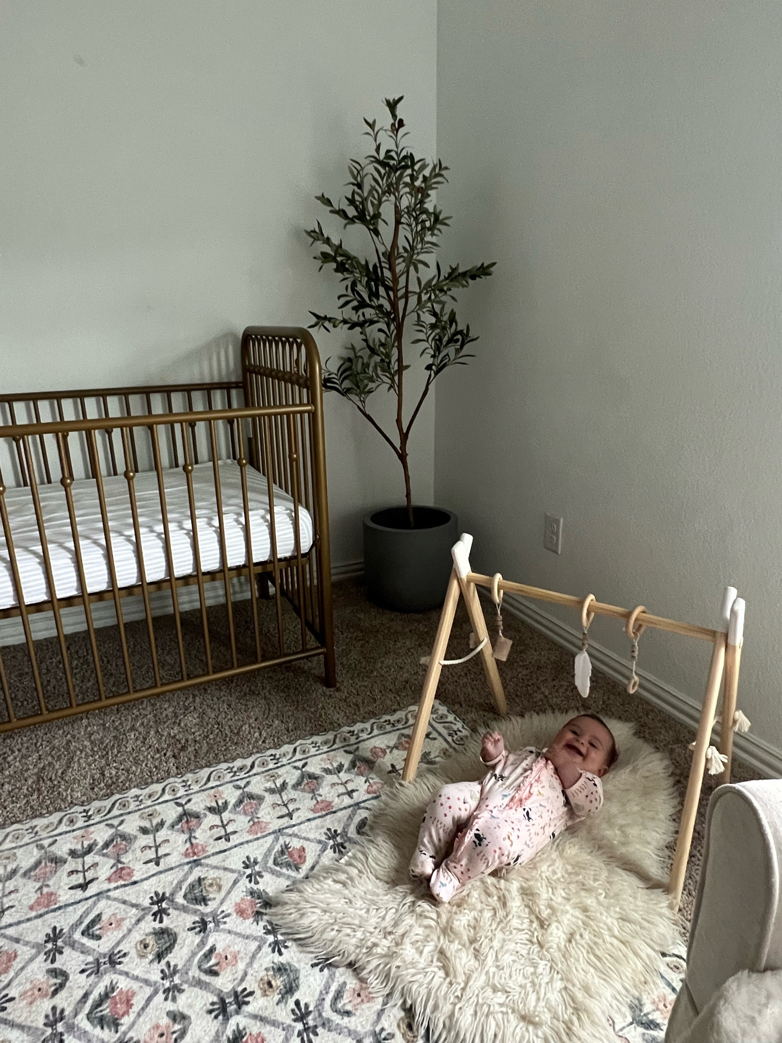 Olive tree 60% off!! 

#LTKunder50 #LTKFind #LTKsalealert