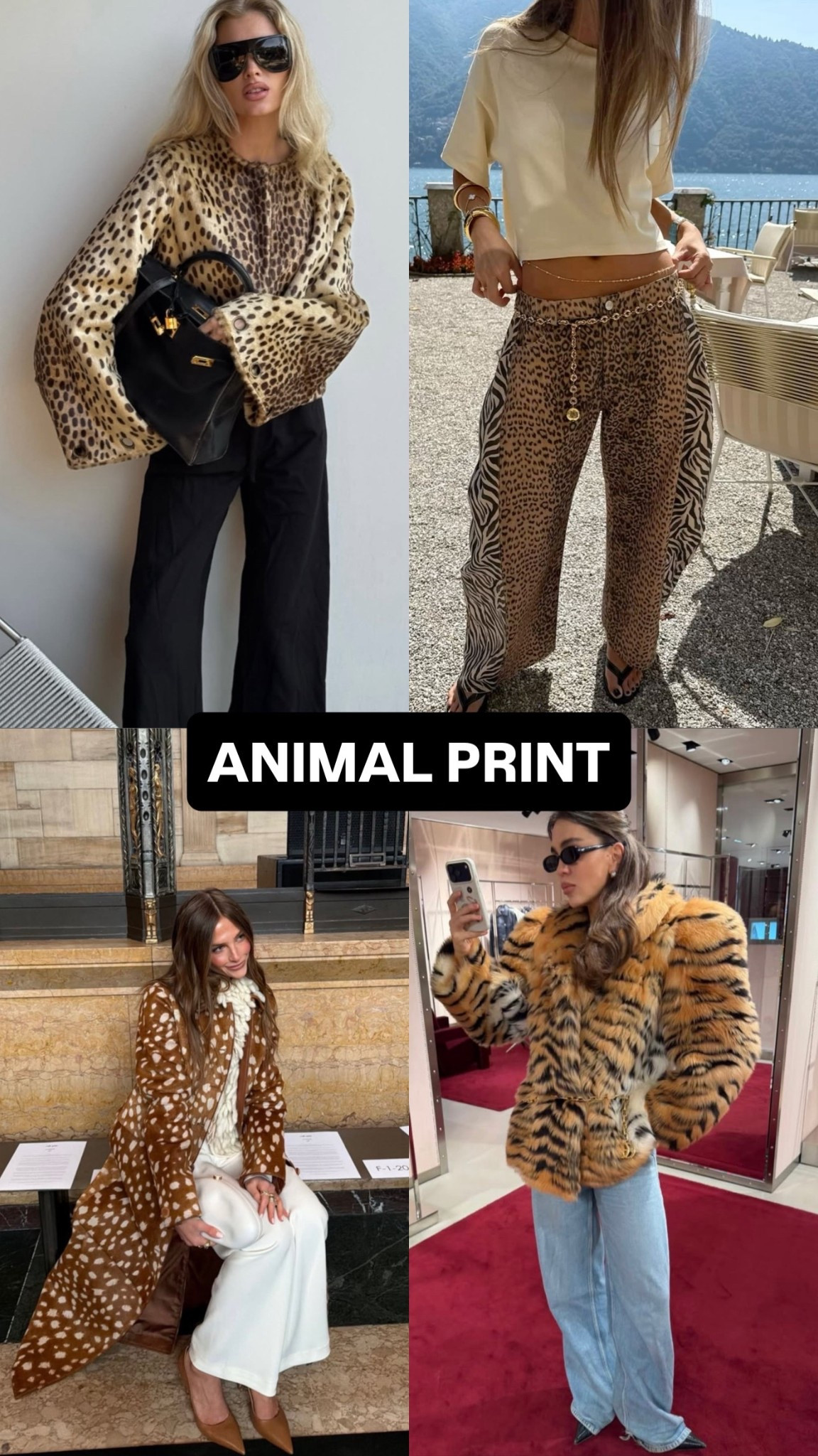 What’s in ANIMAL PRINT