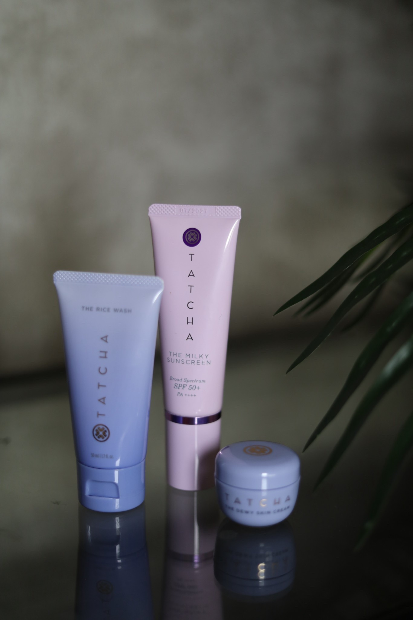 Today’s skincare routine consist of Tatcha rice wash, SPF, and dewy cream! 

#LTKBeauty #LTKTravel #LTKselfcare