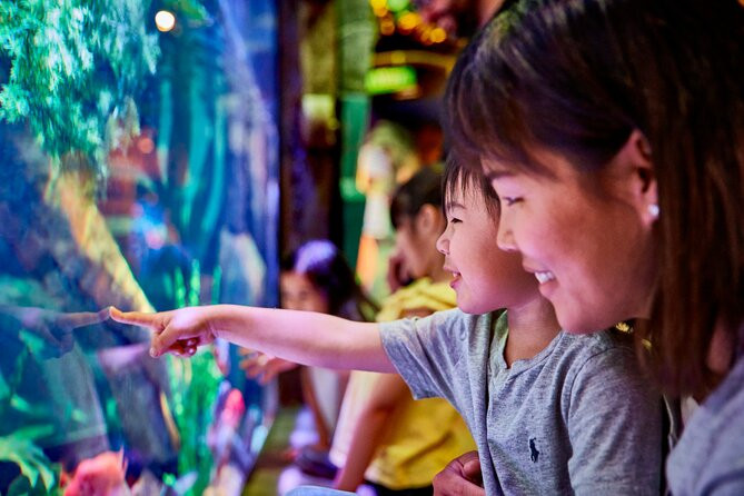 SEA LIFE New Jersey Admission Tickets at American Dream | Viator – A TripAdvisor Company (US)