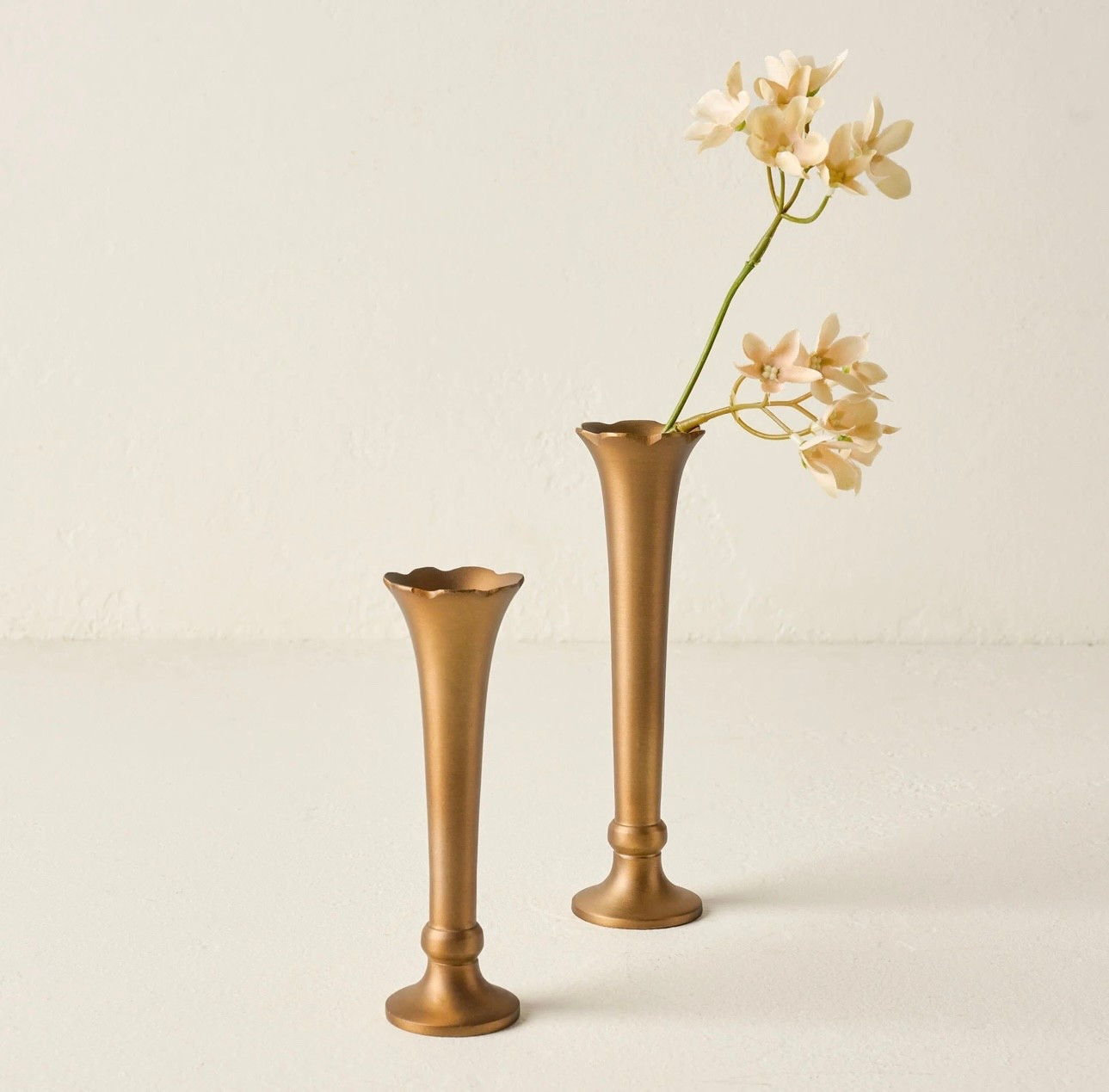 Beautiful scalloped brass bud vases are on sale now. Comes in two sizes. 

#LTKHome #LTKSaleAlert