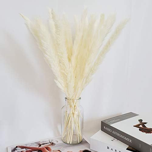 Natural Dried Pampas Grass 30 Stems -20" White Pampas for Flower Arrangements Wedding Home Boho D... | Amazon (US)