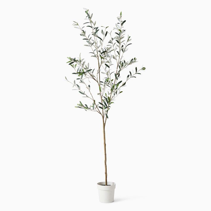 Faux Potted Black Olive Tree | West Elm (US)