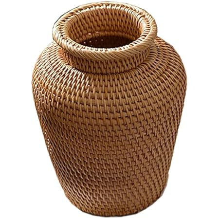 Autumn Rattan Woven Vase Art Vase Fashion Tabletop Decoration Plants Flower Pot Faddish Home Gardeni | Amazon (US)