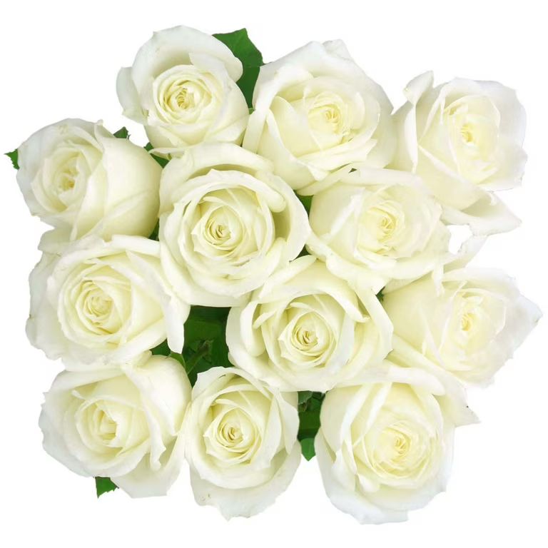 Fresh-Cut Solid Roses Flower Bunch, Minimum of 12 Stems, Colors Vary | Walmart (US)