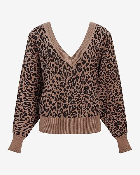 Leopard Print V-Neck Dolman Sweater | Express