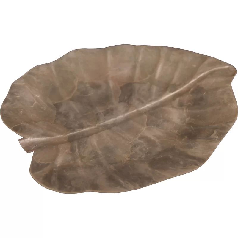 World Menagerie Shelford Capiz Shells Tray & Reviews | Wayfair | Wayfair North America