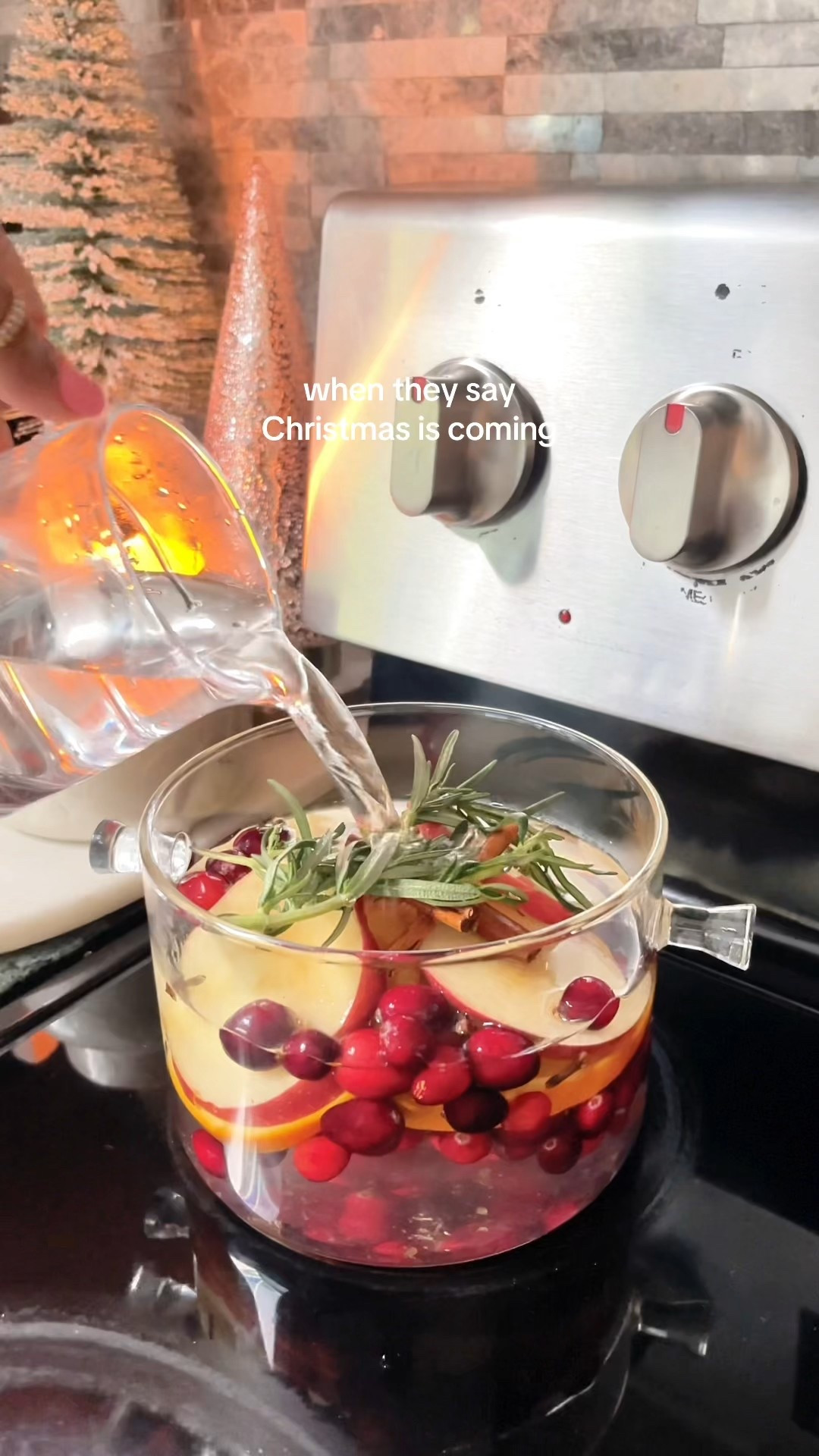 Make a Christmas simmer pot to make your home smell like the holidays!! #christmas #simmerpot #holidays

#LTKGiftGuide #LTKHome #LTKHoliday