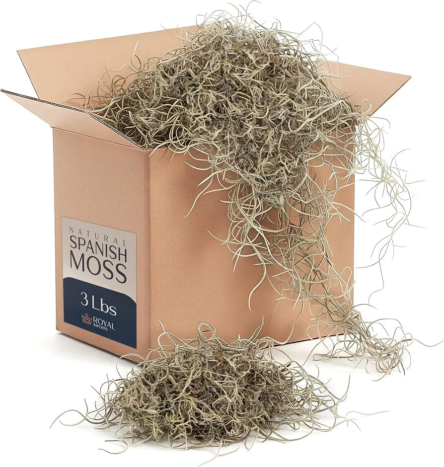 Royal Imports Preserved Natural Spanish Moss, Fresh Dried Shredded Loose Chunks, 3 LB Bulk Case | Amazon (US)