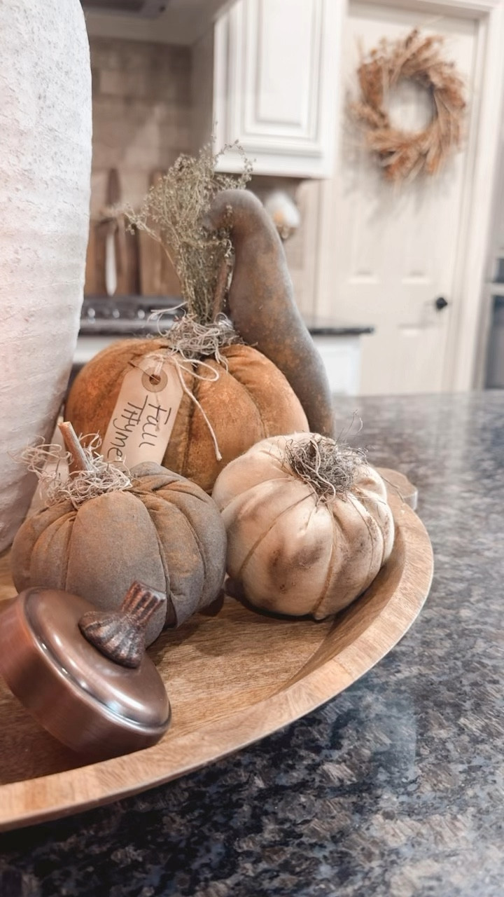 Have you started decorating for fall?  It’s never too early to start gathering your decor.  This is the cutest set of pumpkins with the crow!! How cute.  

#LTKSeasonal #LTKHome #LTKFallSale