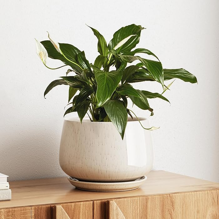 LE TAUCI Ceramic Planter, 10 Inch Plant Pot with Drainage Hole & Saucer \u2013 Durable Indoor Pla... | Amazon (US)