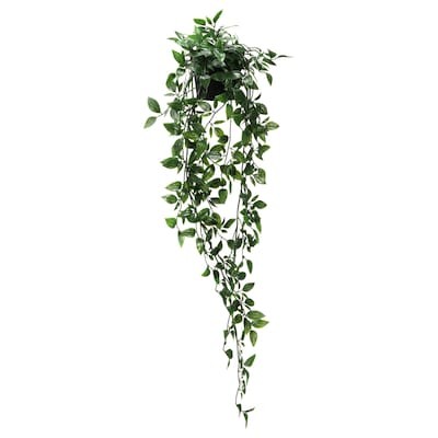 FEJKA Artificial potted plant - indoor/outdoor, hanging - IKEA | IKEA (DE)
