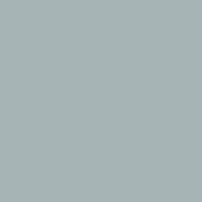 Stardew (9138) - Paint Sample | Samplize