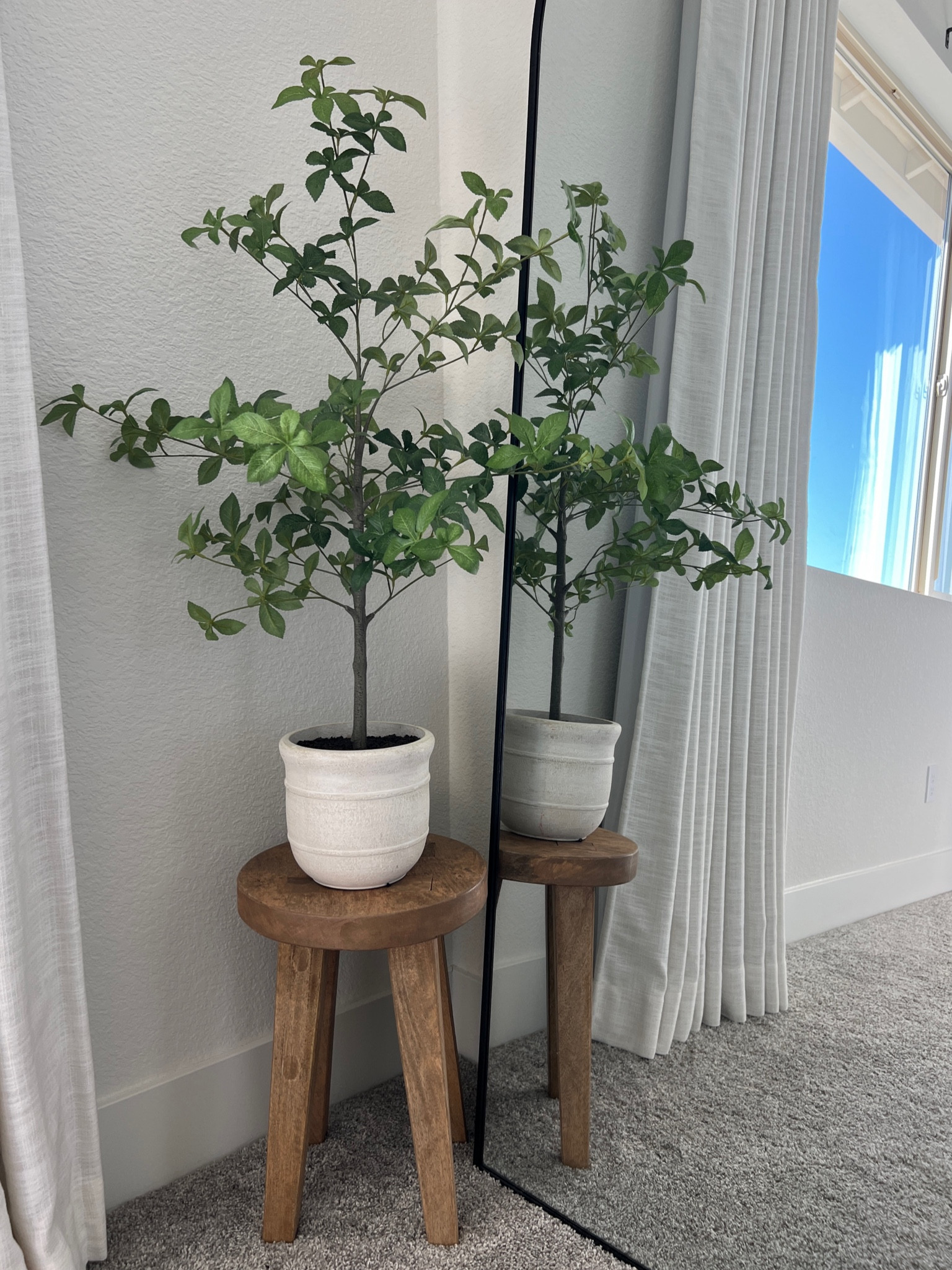 Loving this small faux plant. Perfect for a corner that needs some warmth. Currently on sale! 

#LTKHome #LTKSaleAlert