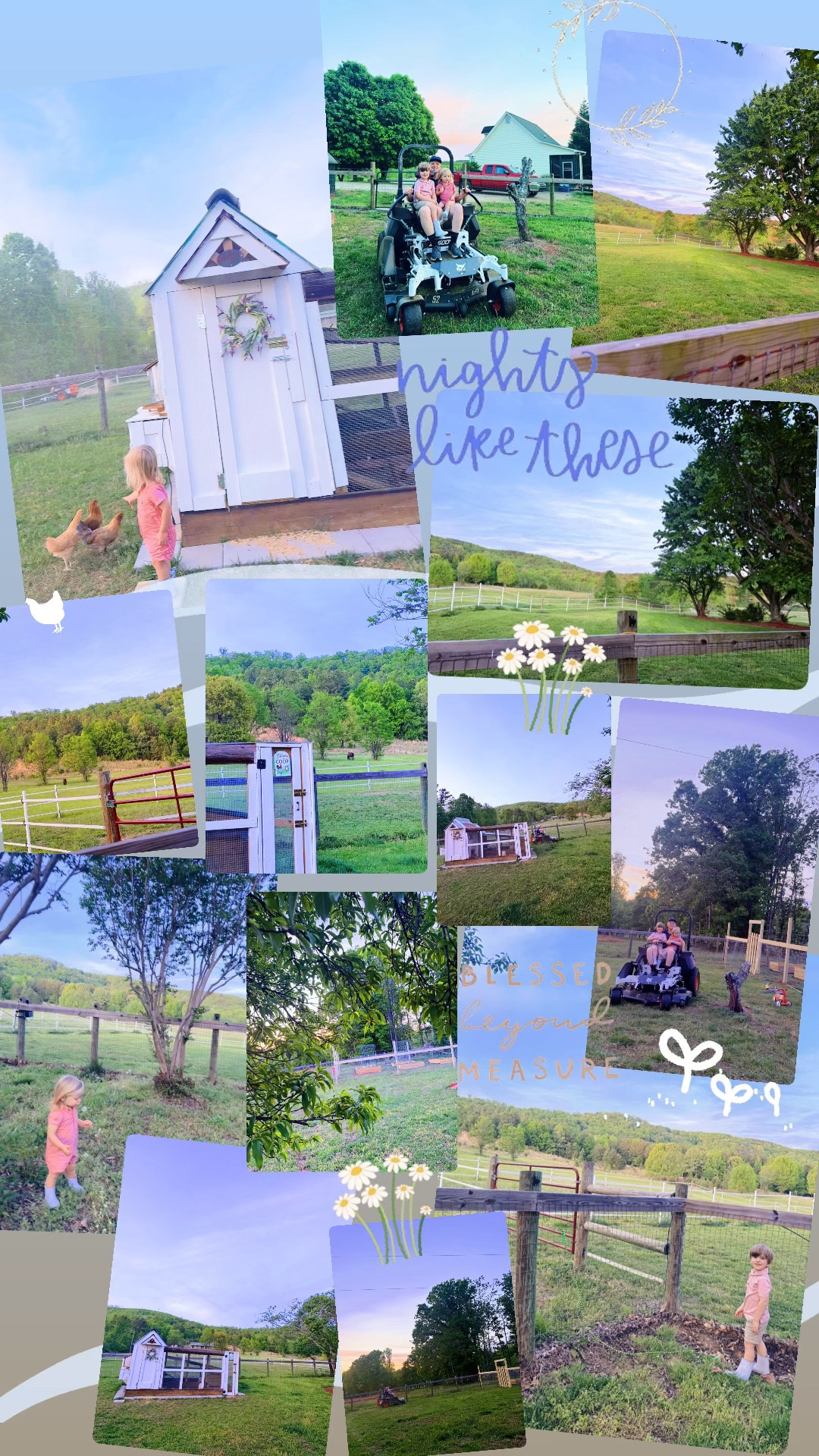 Nights like these 🪻🐓🌸