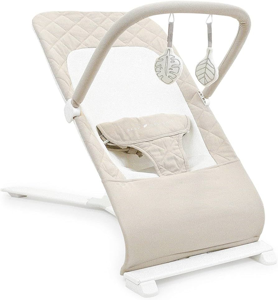 Baby Delight Alpine Deluxe Portable Bouncer, Infant, 0-6 Months, 100% GOTS Certified Cotton Fabrics, | Amazon (US)