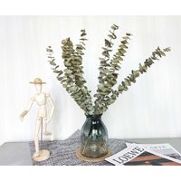 5/10 Stems Natural Eucalyptus Branches，dried Branches，eucalyptus For Vase， Dry Flowers Home Decor，we | Etsy (US)