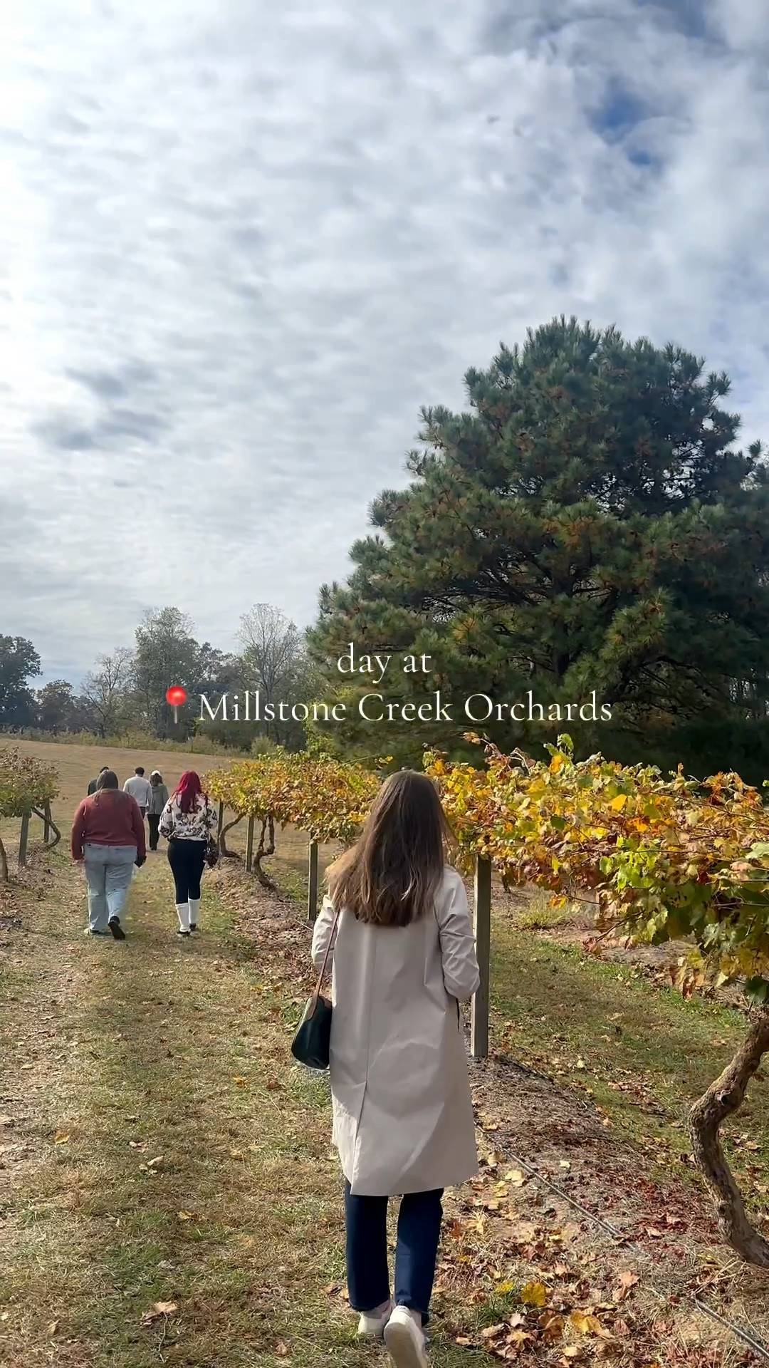 The viral look for less 🤎✨ This Amazon trench coat gives the same timeless Sézane favorite!

#Sezane #SezaneStyle #trenchcoat #Amazonfashion #Amazonfinds #Amazonstyle #lookforless #dupealert #fashiondupe #affordablefashion #budgetfriendlyfinds #PinterestOutfits #LTKstyle #LTKfinds #fallstyle #fallfashion #capsulewardrobe #wardrobestaples #classicstyle #timelessstyle #Parisianstyle #chicstyle #modernclassic #elevatedbasics #minimalstyle #falloutfitideas #fashionfavorites #OOTDinspo #falltrends #outerwearinspo #LTKfashion #styleinspo #fashiontrends #fashionmusthaves #fallcapsule #Pinterestfashion #closetessentials


#LTKSeasonal #LTKFindsUnder50 #LTKStyleTip