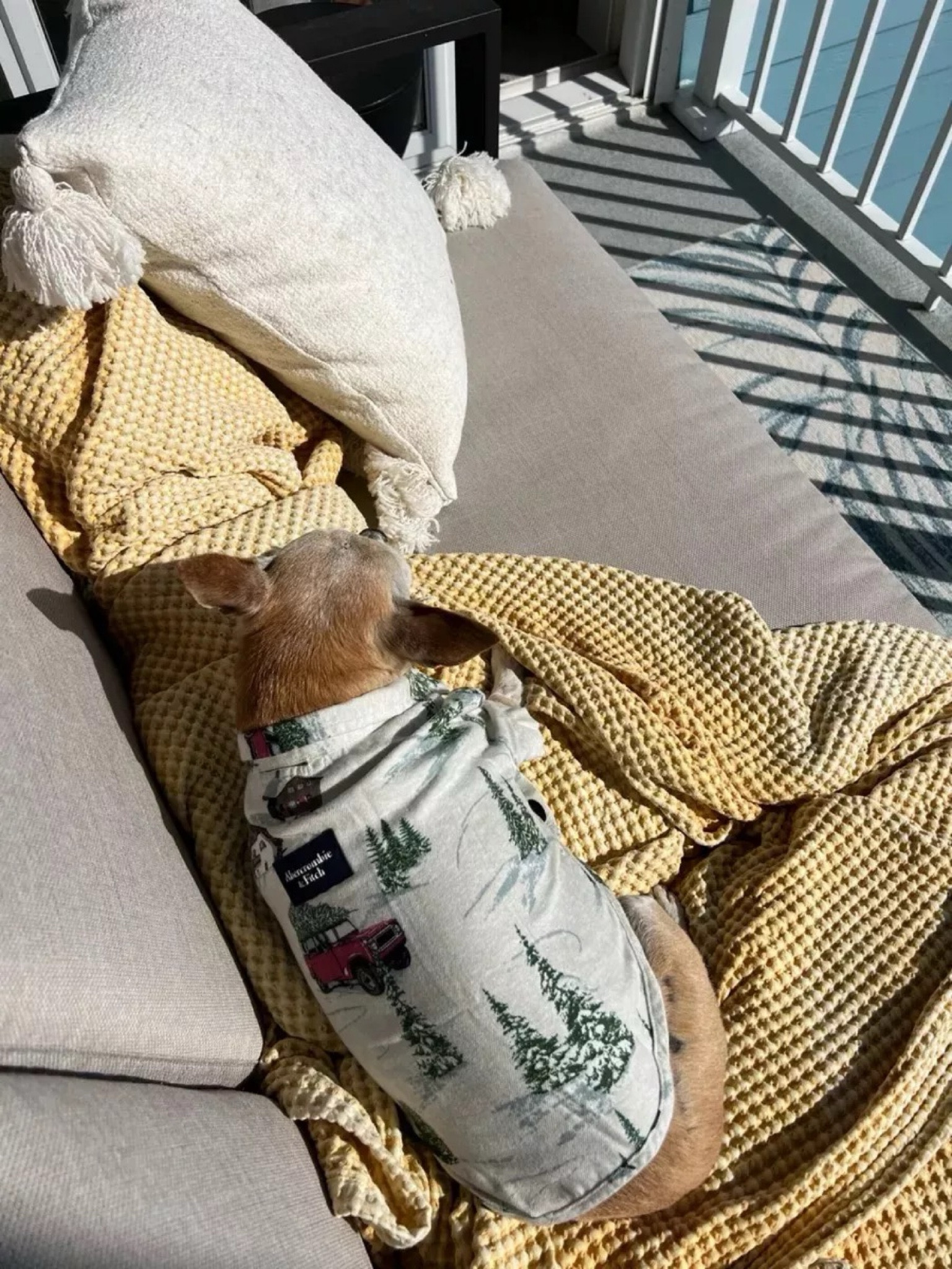 Holiday pet pajamas and Christmas flannels from Abercrombie,matching holiday outfits for dogs, Christmas pajamas for dog, Christmas outfit for dog, Holiday outfit for dog

#LTKHoliday #LTKSeasonal #LTKfindsunder50