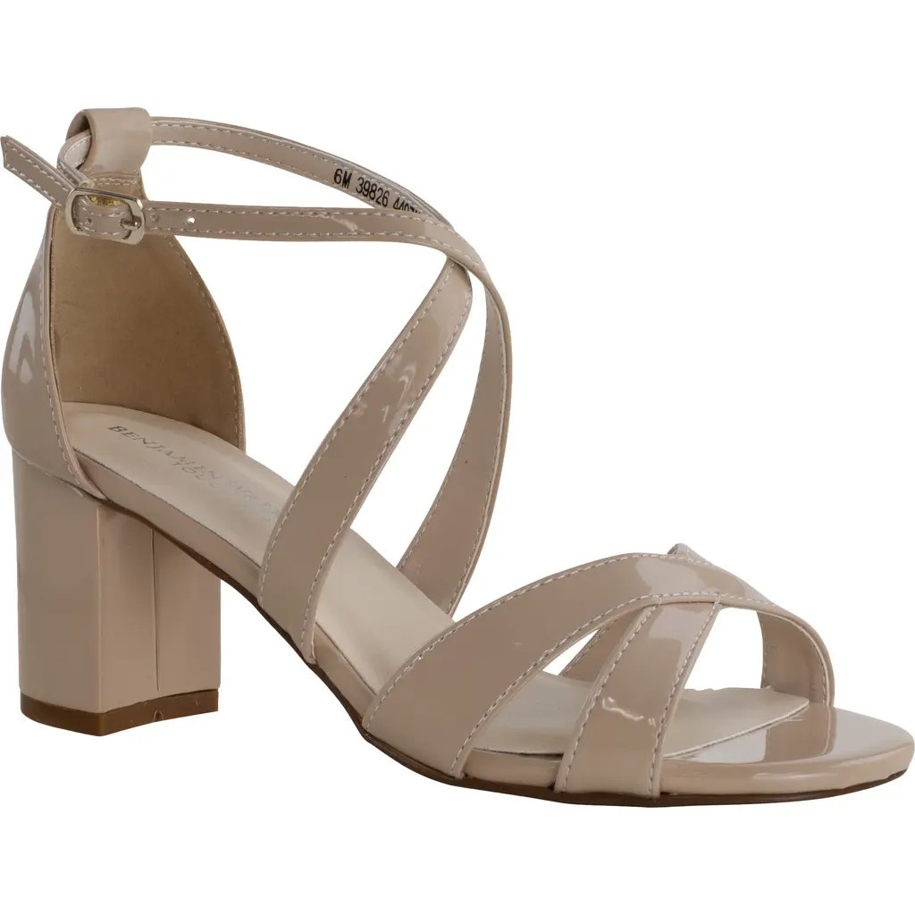 Touch Ups Audrey Block Heel Sandal in Nude at Nordstrom, Size 5.5 | Nordstrom