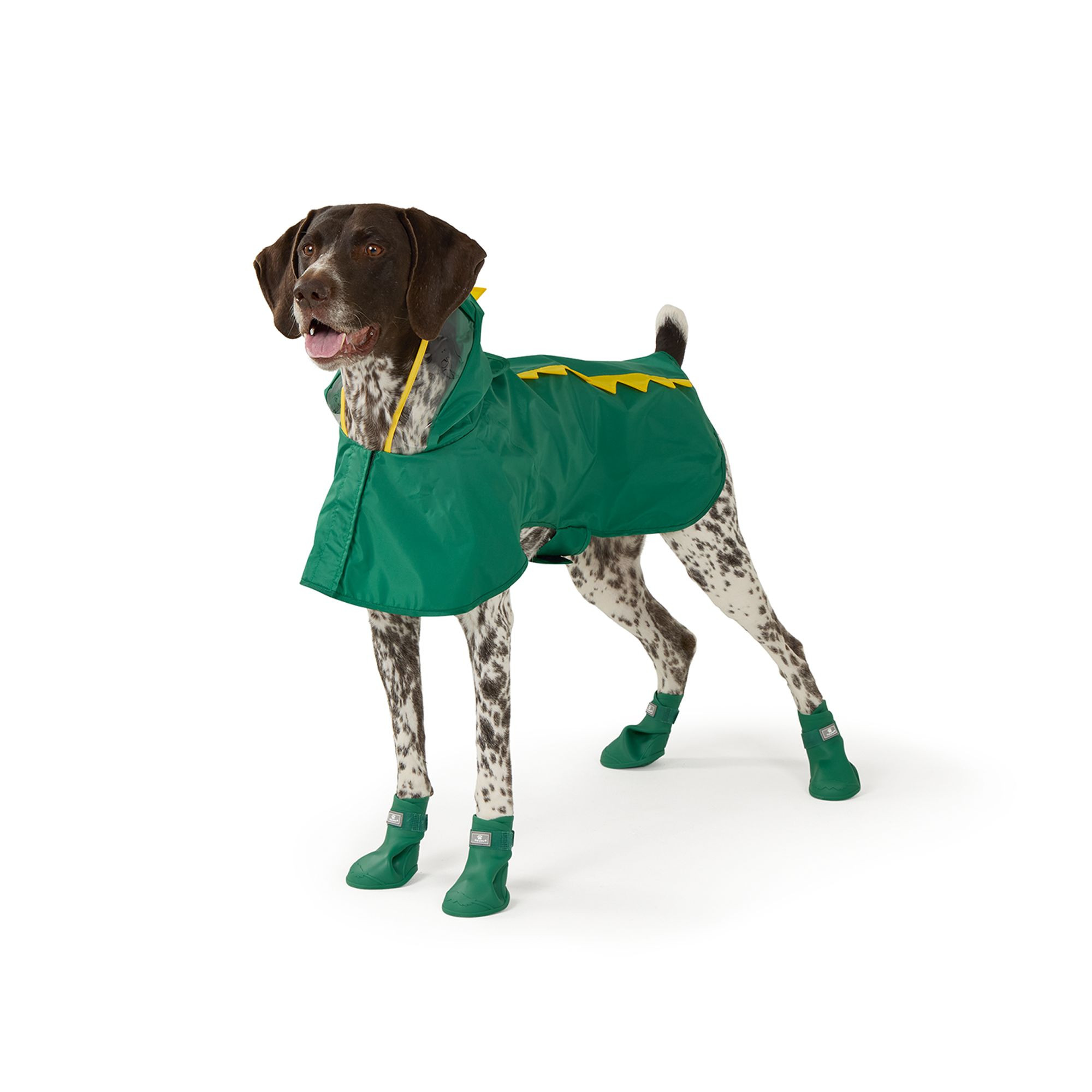 Top Paw® Rain Booties | PetSmart