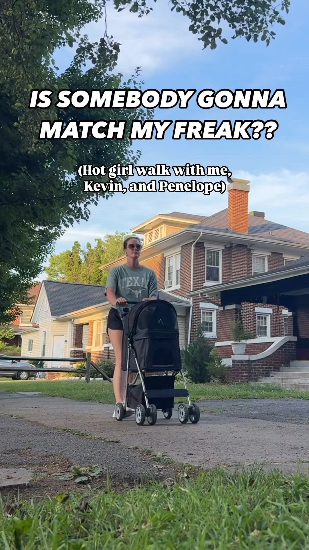 This cat stroller actually so cute and easy to use - and the kittens LOVE IT. 10/10 recommend. #cats #kittens #hotgirlwalk #pet #stroller 

#LTKSeasonal #LTKVideo #LTKTravel