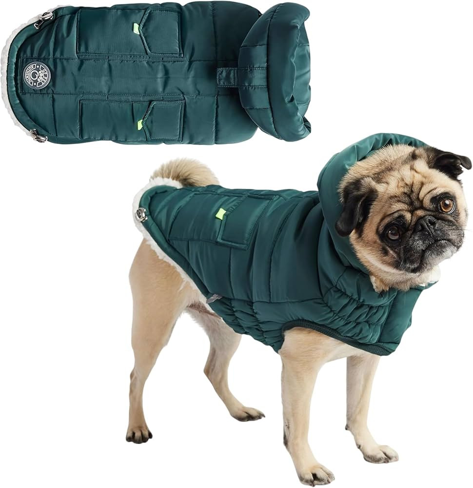 Super Puff Parka - Teal - XL | Amazon (US)