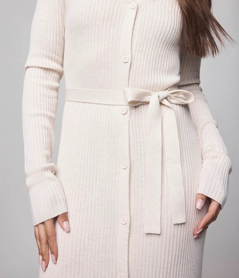 Georgie Cashblend Button Down Dress | Splendid