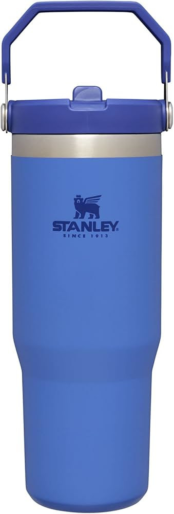 STANLEY IceFlow Stainless Steel Tumbler with Straw, Vacuum Insulated Water Bottle for Home, Offic... | Amazon (US)